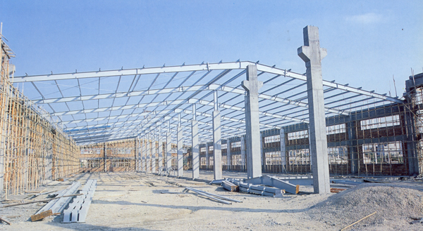 角鋼結(jié)構(gòu) 鋼結(jié)構(gòu)